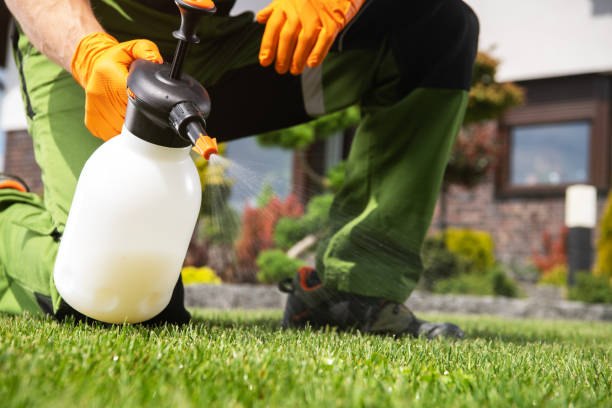 Best Pest Removal Services  in Sappington, MO