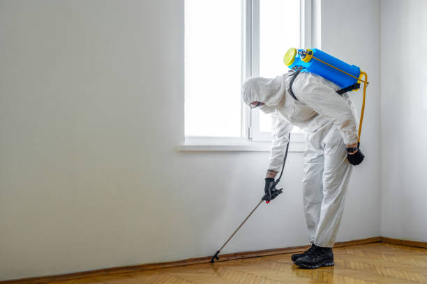 Best Wasp Removal Services  in Sappington, MO