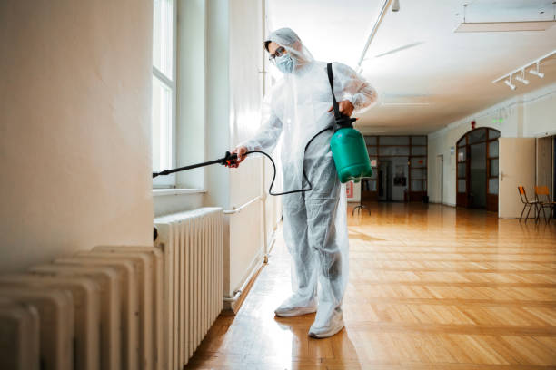 Best Termite Control Services  in Sappington, MO